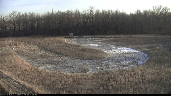 Cell 4_24-02-19_08-21-29-93