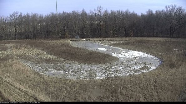 Cell 4_24-02-19_10-01-56-94