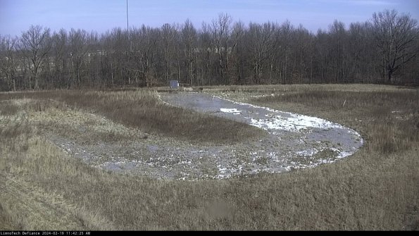 Cell 4_24-02-19_11-42-25-92