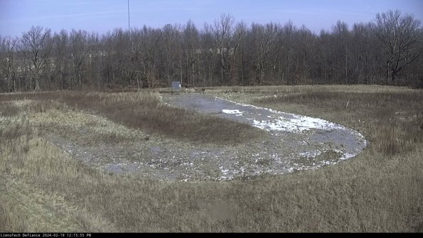 Cell 4_24-02-19_12-15-55-93