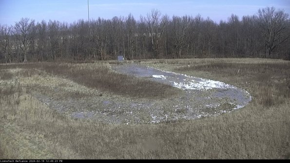 Cell 4_24-02-19_12-49-23-95