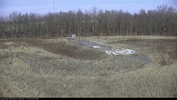 Cell 4_24-02-19_14-29-50-93