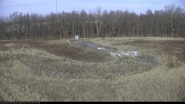 Cell 4_24-02-19_15-03-19-92