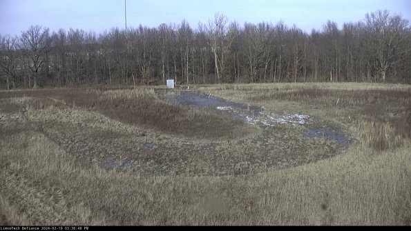 Cell 4_24-02-19_15-36-48-97