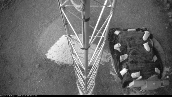 Hatch_24-02-19_07-00-00-90