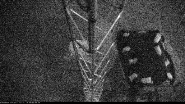 Hatch_24-02-19_18-59-22-93