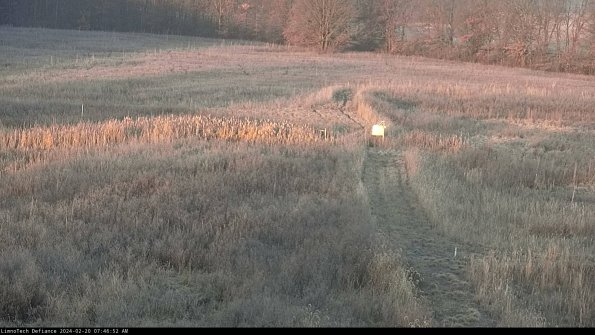 Cell 1 to 2_24-02-20_07-46-52-93