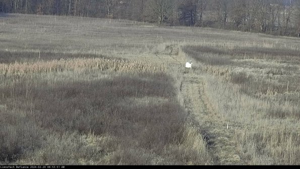 Cell 1 to 2_24-02-20_08-53-51-92