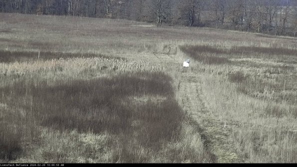 Cell 1 to 2_24-02-20_10-00-50-92