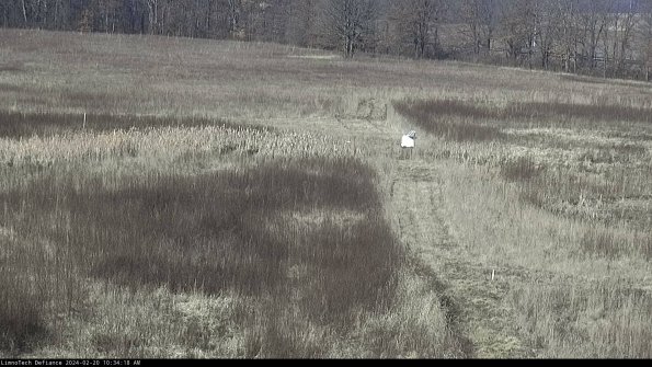 Cell 1 to 2_24-02-20_10-34-18-93