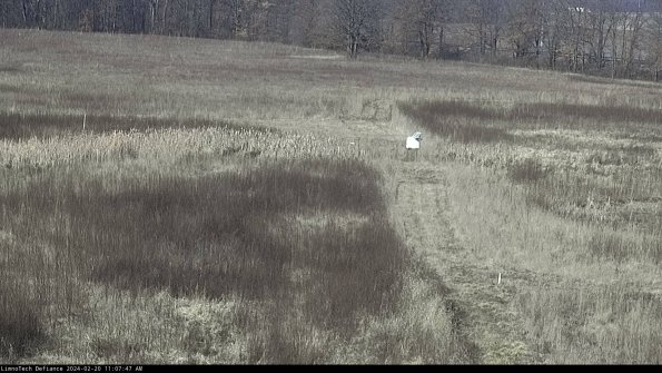 Cell 1 to 2_24-02-20_11-07-47-92