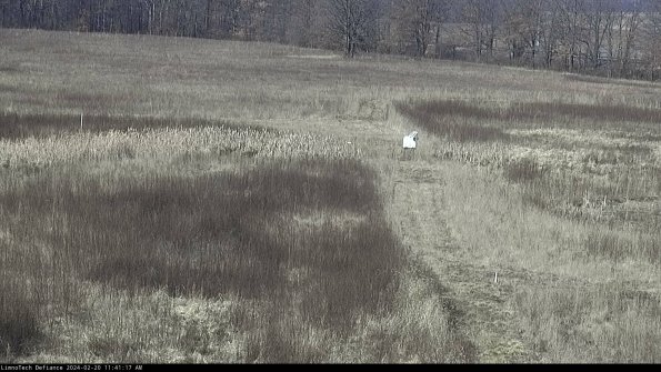 Cell 1 to 2_24-02-20_11-41-17-90