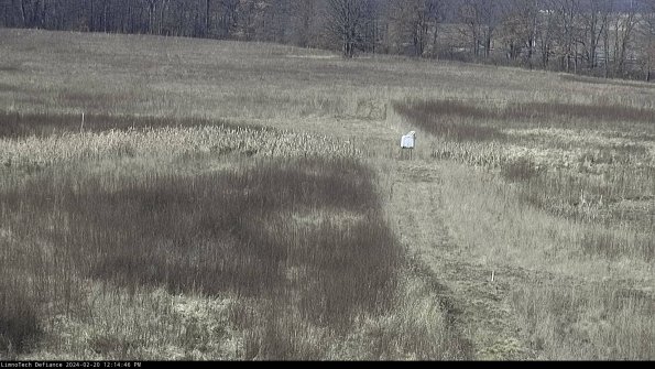 Cell 1 to 2_24-02-20_12-14-46-92