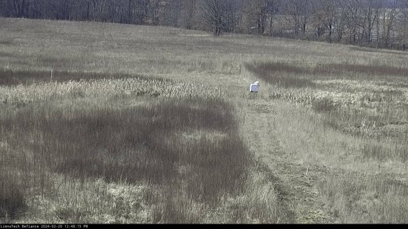 Cell 1 to 2_24-02-20_12-48-15-94