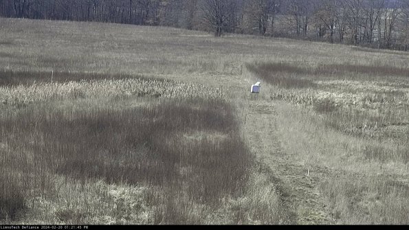 Cell 1 to 2_24-02-20_13-21-45-92