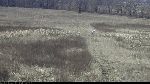 Cell 1 to 2_24-02-20_13-55-14-91