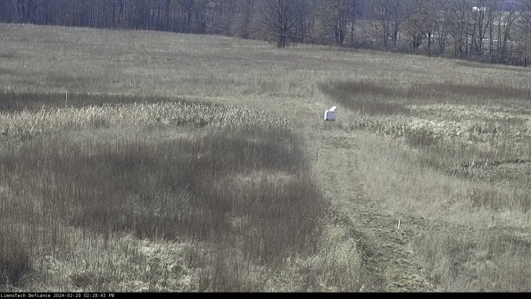 Cell 1 to 2_24-02-20_14-28-43-93