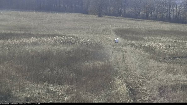 Cell 1 to 2_24-02-20_16-42-40-91