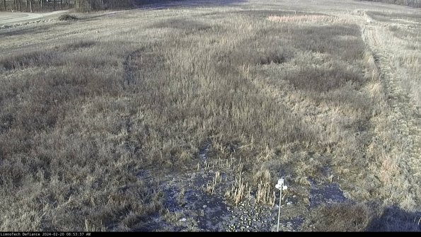 Cell 1_24-02-20_08-53-37-94