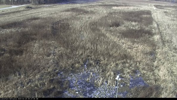 Cell 1_24-02-20_09-27-06-92