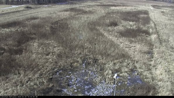 Cell 1_24-02-20_10-34-04-92