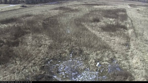 Cell 1_24-02-20_11-41-03-92