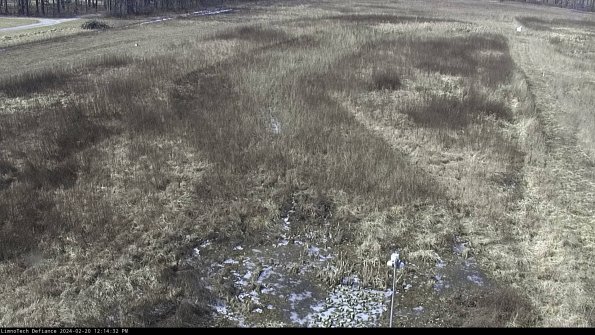 Cell 1_24-02-20_12-14-32-91