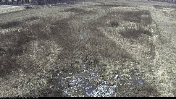 Cell 1_24-02-20_12-48-01-92