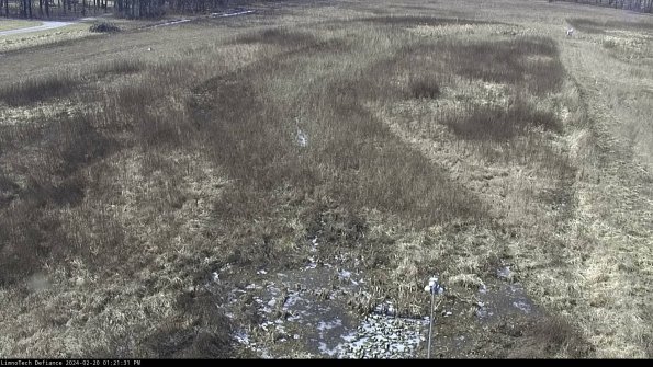 Cell 1_24-02-20_13-21-31-91