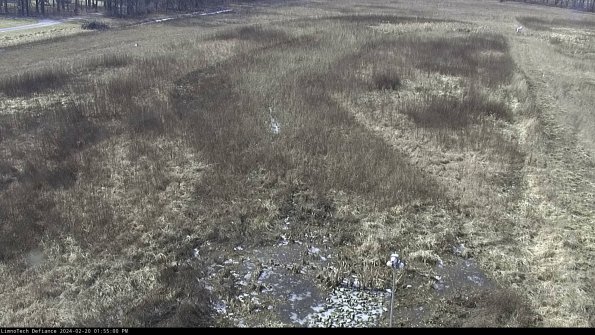 Cell 1_24-02-20_13-55-00-93