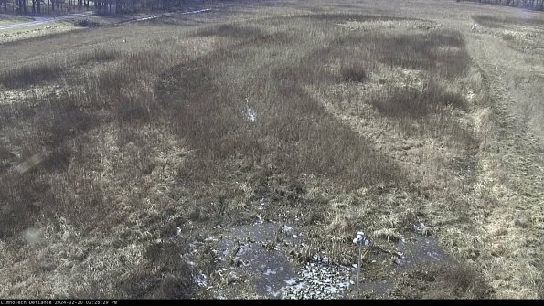 Cell 1_24-02-20_14-28-29-91