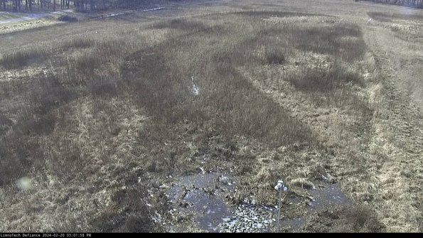 Cell 1_24-02-20_15-01-58-93