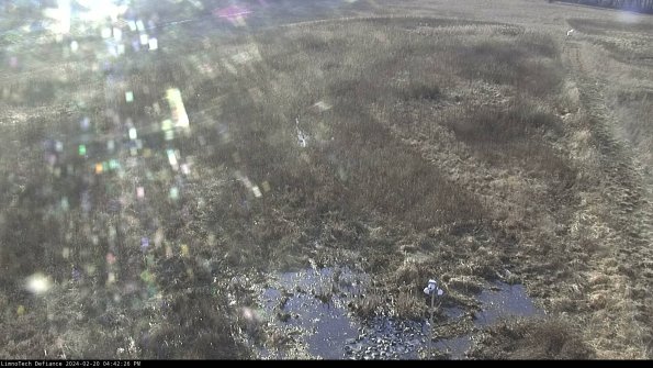 Cell 1_24-02-20_16-42-26-93