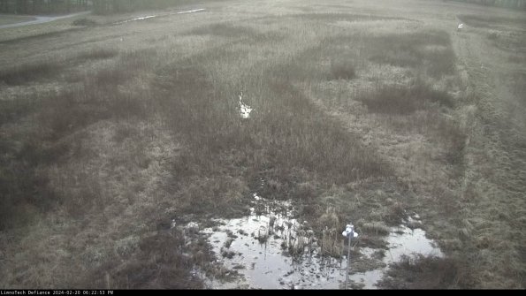 Cell 1_24-02-20_18-22-53-95