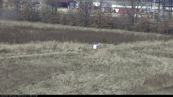 Cell 2 to 3_24-02-20_11-08-14-11