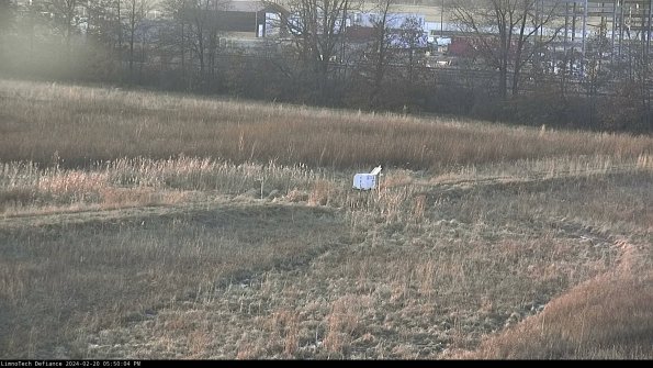 Cell 2 to 3_24-02-20_17-50-05-00