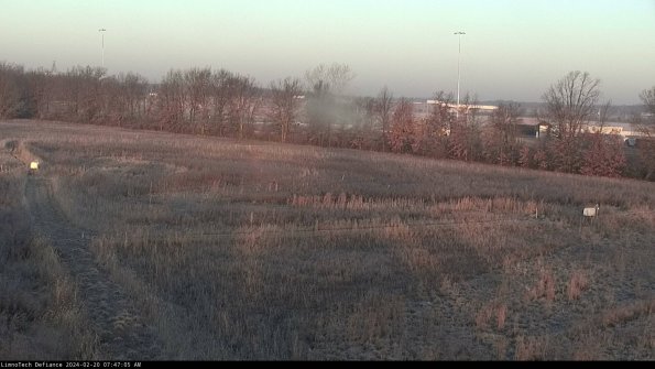 Cell 2_24-02-20_07-47-05-94