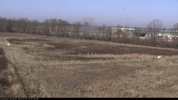 Cell 2_24-02-20_10-01-03-93