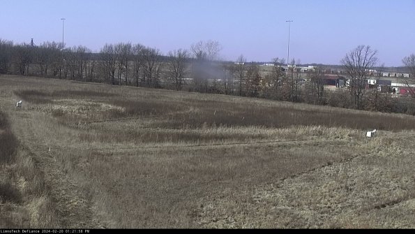 Cell 2_24-02-20_13-21-59-00