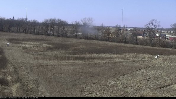 Cell 2_24-02-20_13-55-27-92