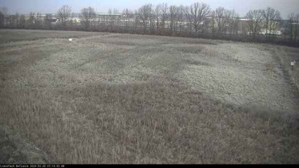 Cell 3_24-02-20_07-14-03-92