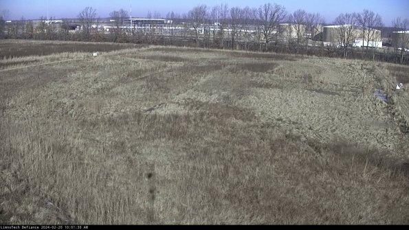 Cell 3_24-02-20_10-01-31-12