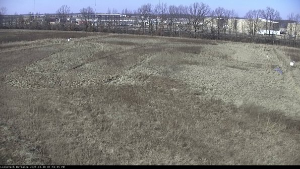 Cell 3_24-02-20_13-55-55-92