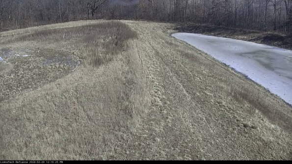 Cell 4 to Basin_24-02-20_12-16-25-92