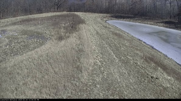 Cell 4 to Basin_24-02-20_12-49-54-93