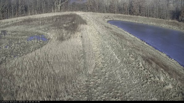 Cell 4 to Basin_24-02-20_16-44-18-94