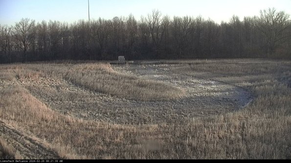 Cell 4_24-02-20_08-21-30-94