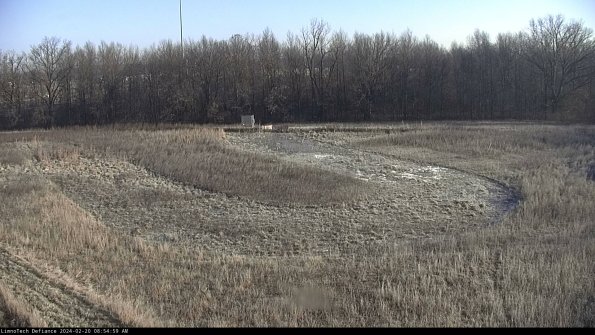 Cell 4_24-02-20_08-54-59-95