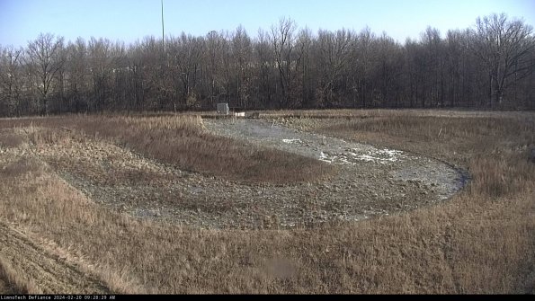 Cell 4_24-02-20_09-28-29-93