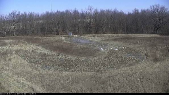 Cell 4_24-02-20_11-42-25-91